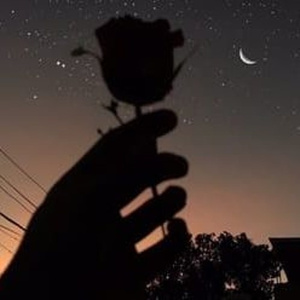 美女又黄又刺激又爽
